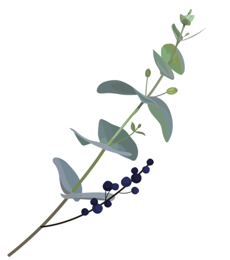 green-image-1