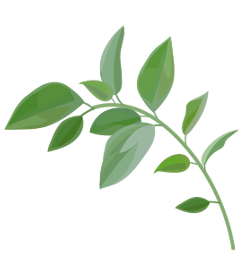 greenery-image-4