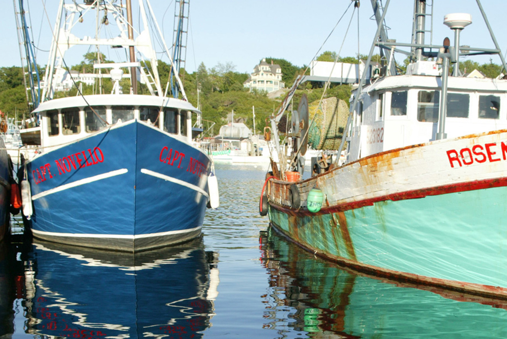 Boats at the marina