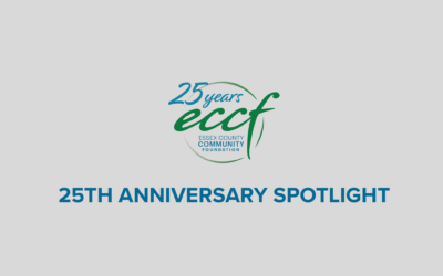 During ECCF’s silver anniversary, the IFT celebrates 15 years