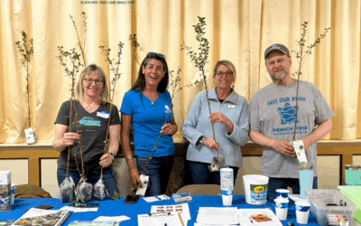 Bartlett Tree Experts